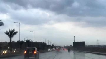 الموجة الكبرى.. نوة قاسم تضرب الإسكندرية الأسبوع القادم 2025